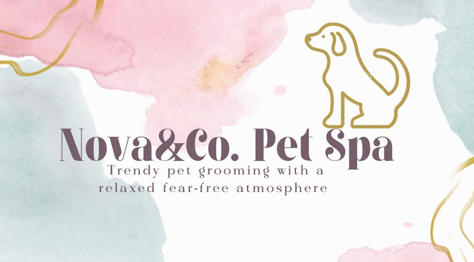 Nova & Co. Pet Spa
